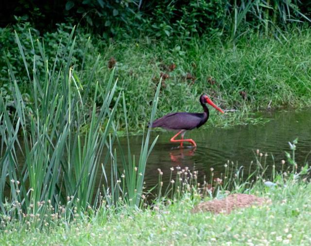 Perperеshka River Villas Stremtsi Luaran gambar